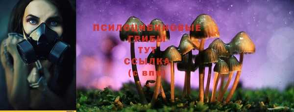круглые Алексин
