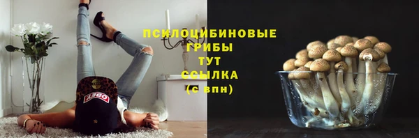 круглые Алексин