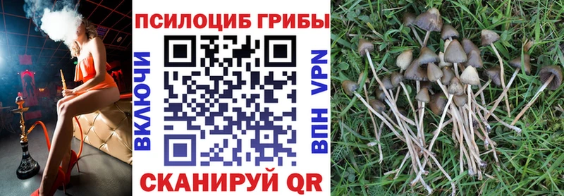 Галлюциногенные грибы ЛСД  мега зеркало  Данков 